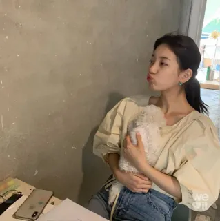 🌸 9f44ea86 여자, 개, 애완동물, 귀여운, 캐주얼, 실내 telegram sticker