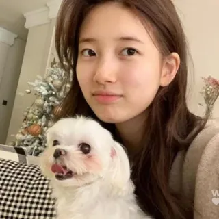 🌸 ceb0d6f2 여자, 개, 애완동물, 귀여운, 셀카 telegram sticker