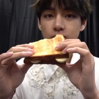 🐯 6900d300 人, 吃, 食物, 三明治 telegram sticker