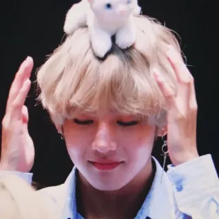 🐯 6e526f59 telegram sticker