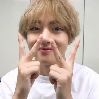 🐯 a74e7e2f V (Kim Taehyung) kpop, 歌手, 男孩, 可爱, 偶像 telegram sticker