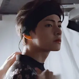 🐯 bd911c37 telegram sticker