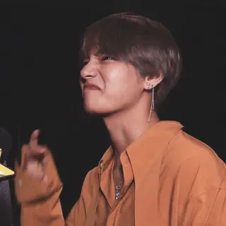 🐯 bda43fa1 中指, 冒犯, 手势, 人, 生气 telegram sticker