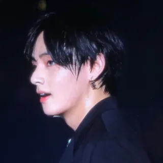 🐯 df9a797e V kpop, bts, 偶像, 金泰亨 telegram sticker