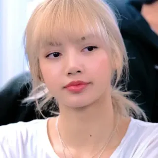 🐈 04b31d39 Lisa Lisa, K-pop, singer, portrait, celebrity, idol telegram sticker