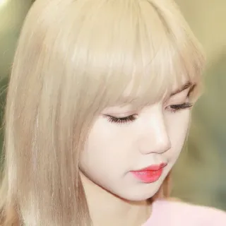 🐈 33507ae1 Lisa woman, person, celebrity, singer, female, portrait telegram sticker