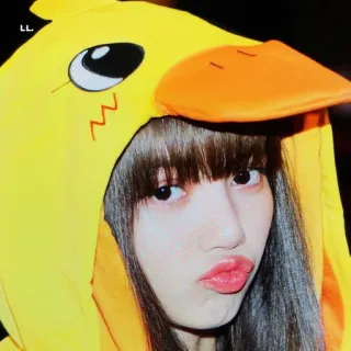 🐈 40670525 duck, hoodie, cute, portrait, yellow, animal, person telegram sticker