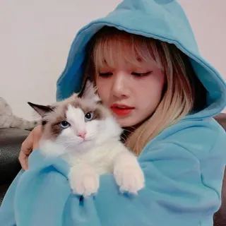 lalisa manoban @CIGARDEVIL telegram stickers