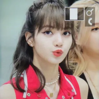 🐈 57dc0019 Lisa K-pop, singer, celebrity, woman, portrait telegram sticker