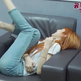 🐈 65964230 telegram sticker