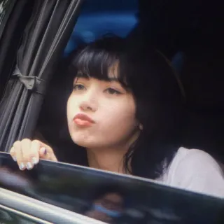 🐈 6c3bfb24 Lisa celebrity, woman, person, kpop, singer telegram sticker