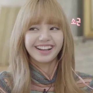 🐈 8246fc8b Lisa 소근 kpop, blackpink, lisa, idol, singer, celebrity telegram sticker