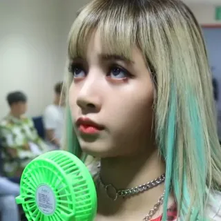 🐈 9d9b5d2b Lisa lisa, kpop, blackpink, singer, woman, fan telegram sticker