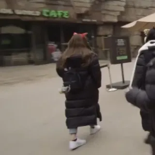 🐈 a5c0660a telegram sticker