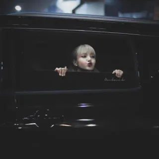 🐈 d8297b3a telegram sticker