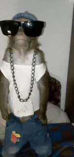 обэма пон :: @fStikBot telegram stickers