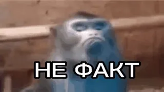 обэма пон :: @fStikBot whatsapp stickers