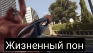 обэма пон :: @fStikBot telegram stickers