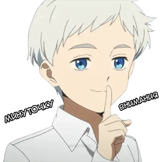 🤭 f543f2bc Norman The Promised Neverland минуточку внимания anime, charakter, norman, the promised neverland, psst, leise, wunsch telegram sticker