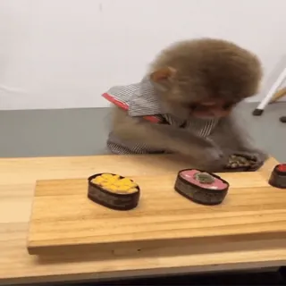 🍣 06fc56b8 monyet, sushi, makanan, hewan, masakan telegram sticker