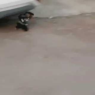 🏃 4d5d8298 telegram sticker