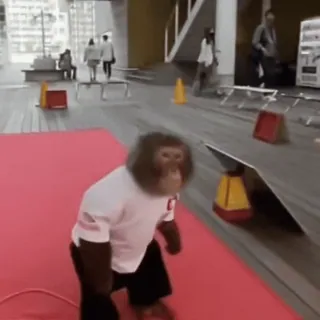 манке брадки от @usebanana telegram stickers