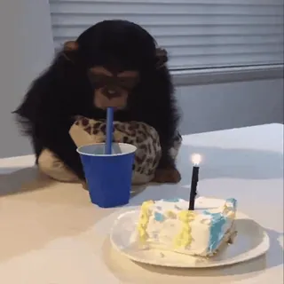 🎁 d2a9ab59 monyet, kue, ulang tahun, binatang, perayaan, pesta telegram sticker