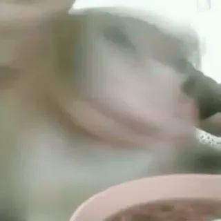 🫨 dcbd8af6 telegram sticker