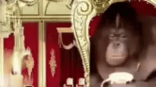 Обизьянки telegram stickers