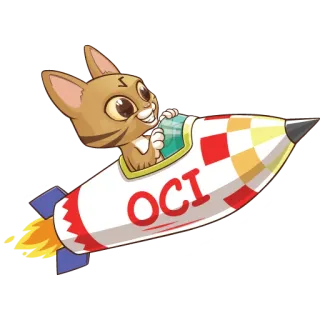 🚀 db58a085 OCI kot, rakieta, kreskówka, kosmos, zwierzę, naklejka telegram sticker