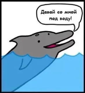 dolphin telegram stickers