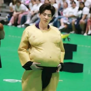 🌚 8b50029e Sumo, Disfraz, Hombre, Atuendo, Asiático, Posando telegram sticker