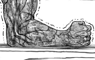 ⚫️ 8ecafa8e ramię, mięśnie, siła, biceps, kulturystyka, anatomia telegram sticker