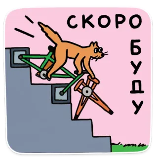 🏃‍♂️ 7e46d1f6 СКОРО БУДУ kat, fiets, trap, dier, cartoon, vervoer, huisdier, grappig telegram sticker