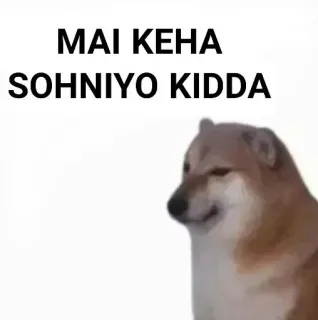 ✨ 621494ca MAI KEHA
SOHNIYO KIDDA doge, 表情包, 狗, 搞笑 telegram sticker