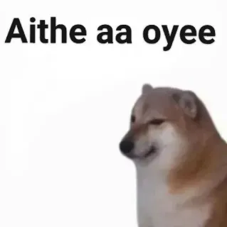 ✨ 8b084732 Aithe aa oyee doge, 狗, 梗, 搞笑, 动物, 宠物 telegram sticker