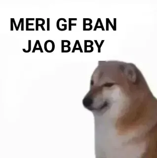 ✨ b2384e93 MERI GF BAN JAO BABY 狗, 梗, 幽默, 关系, 请求, 印地语 telegram sticker