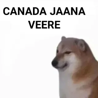 OK BABY telegram stickers