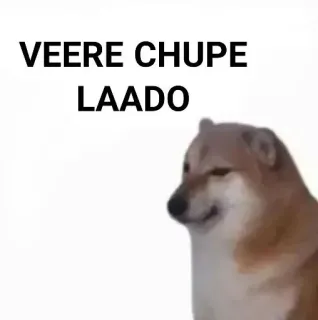 ✨ e72a0326 VEERE CHUPE LAADO doge, 表情包, 狗, 搞笑, cheems, 动物 telegram sticker