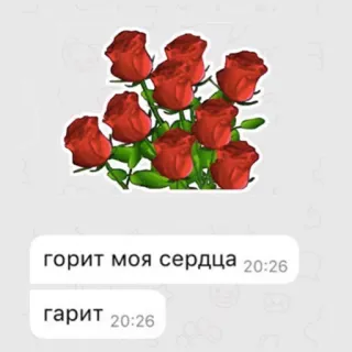 😍 5d311851 горит моя сердца
гарит rozen, hart, liefde, bericht telegram sticker