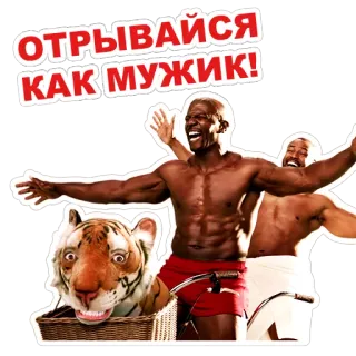 🕺 087fd9e8 ОТРЫВАЙСЯ
КАК МУЖИК! feier, party, männer, tiger, freude, russisch, text telegram sticker