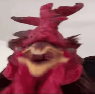 🐔 cb31bbff pollo, gallo, animale, uccello, fattoria, pollame telegram sticker