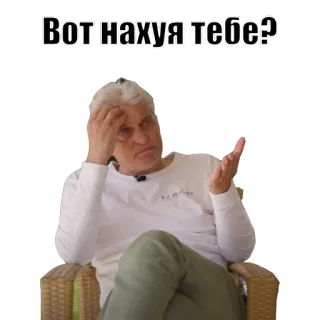🧐 0c82455c Вот нахуя тебе? russe, juron, mème, question telegram sticker