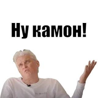 🤌 bf4b8899 Ну камон! russe, mème, expression, personne, allez ! telegram sticker