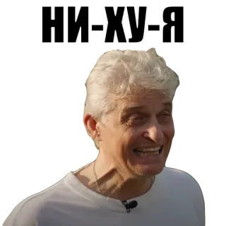 😬 d6570648 НИ-ХУ-Я Mème, Russe, Expression, Autocollant telegram sticker