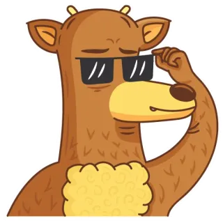 👌 ab515b77 urso, desenho animado, legal, óculos de sol, animal, mamífero, estiloso whatsapp sticker