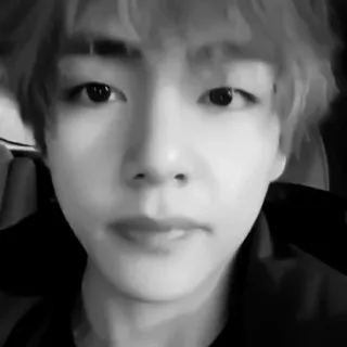 🔪 2933ac3a ritratto, persona, bianco e nero, viso, primo piano telegram sticker