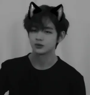 🔪 c16e070a persona, orecchie da gatto, ritratto, uomo, bianco e nero telegram sticker