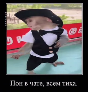 😱 06ed86d8 Пон в чате, всем тиха. обезьяна, шляпа, костюм, смешной, животное whatsapp sticker