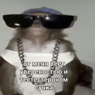 Стикеры @stickrubot @textmeru_bot telegram stickers